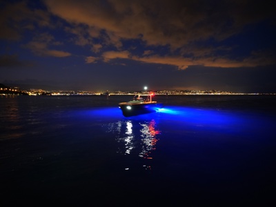 Windy SR44 Detail DSCF2220