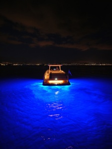 Windy SR44 Detail DSCF2231